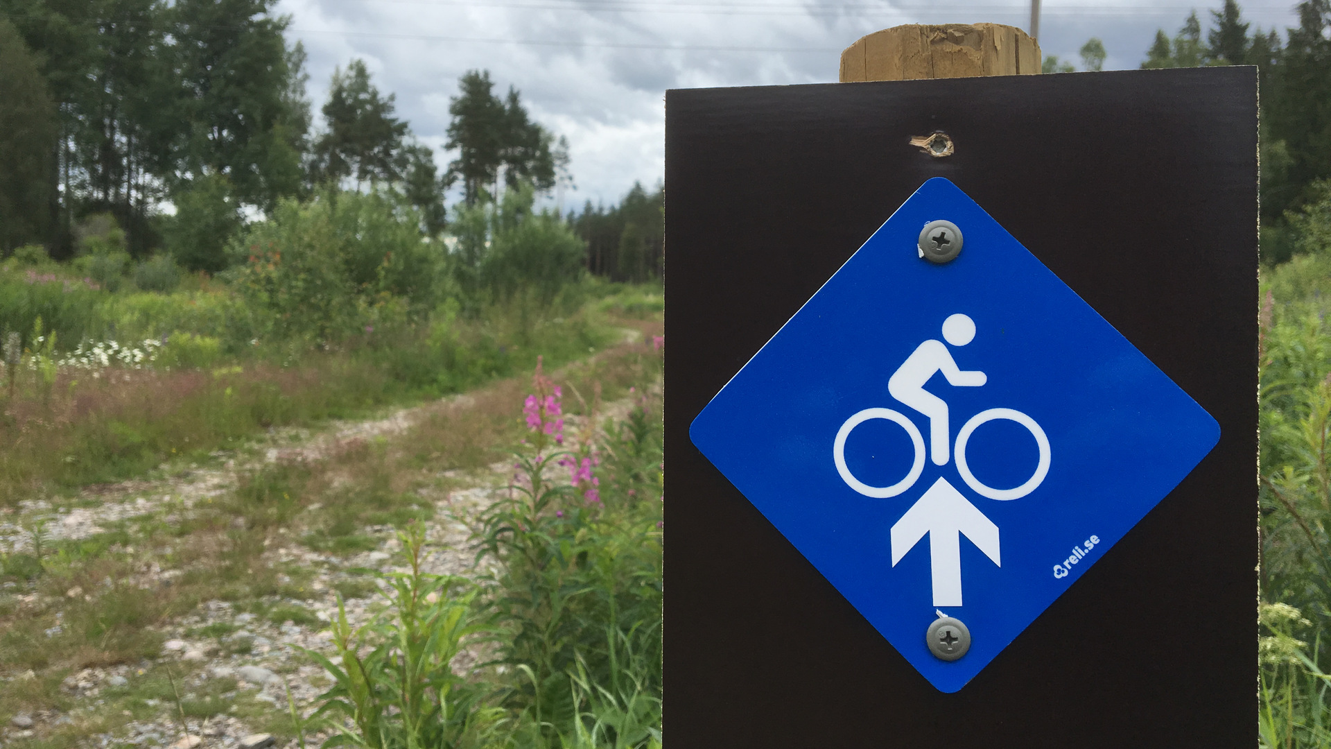 Skylt över blå mountainbike-slinga vid Djurgårdsområdet