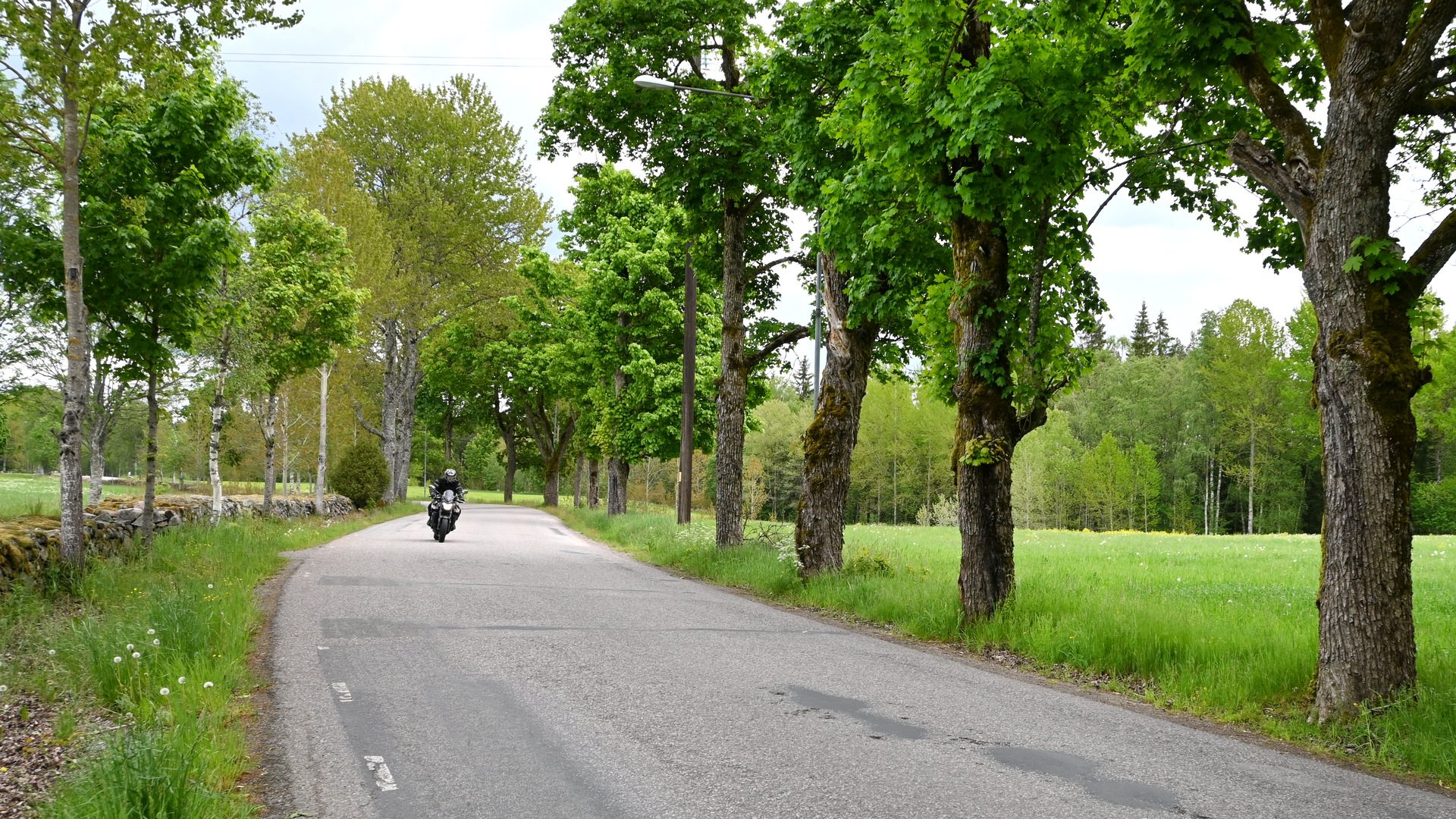 En man åker motorcykel på vacker väg.